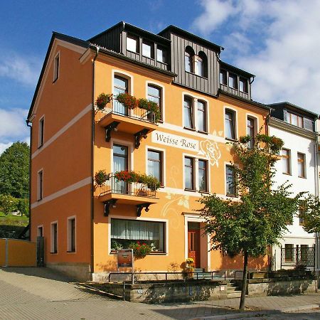 Pension Weisse Rose, Parkplatz, Fruehstueck, Wlan, Zentral Bad Elster Zewnętrze zdjęcie