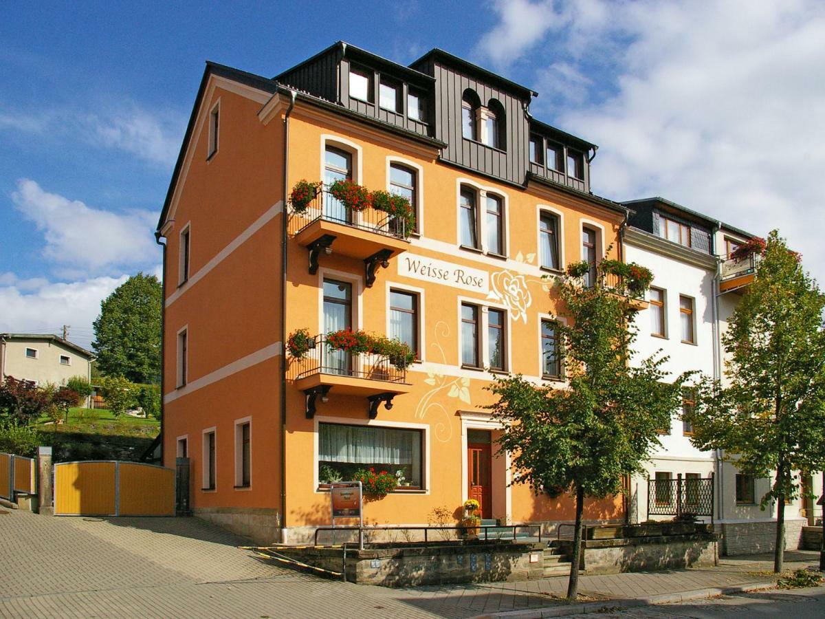 Pension Weisse Rose, Parkplatz, Fruehstueck, Wlan, Zentral Bad Elster Zewnętrze zdjęcie