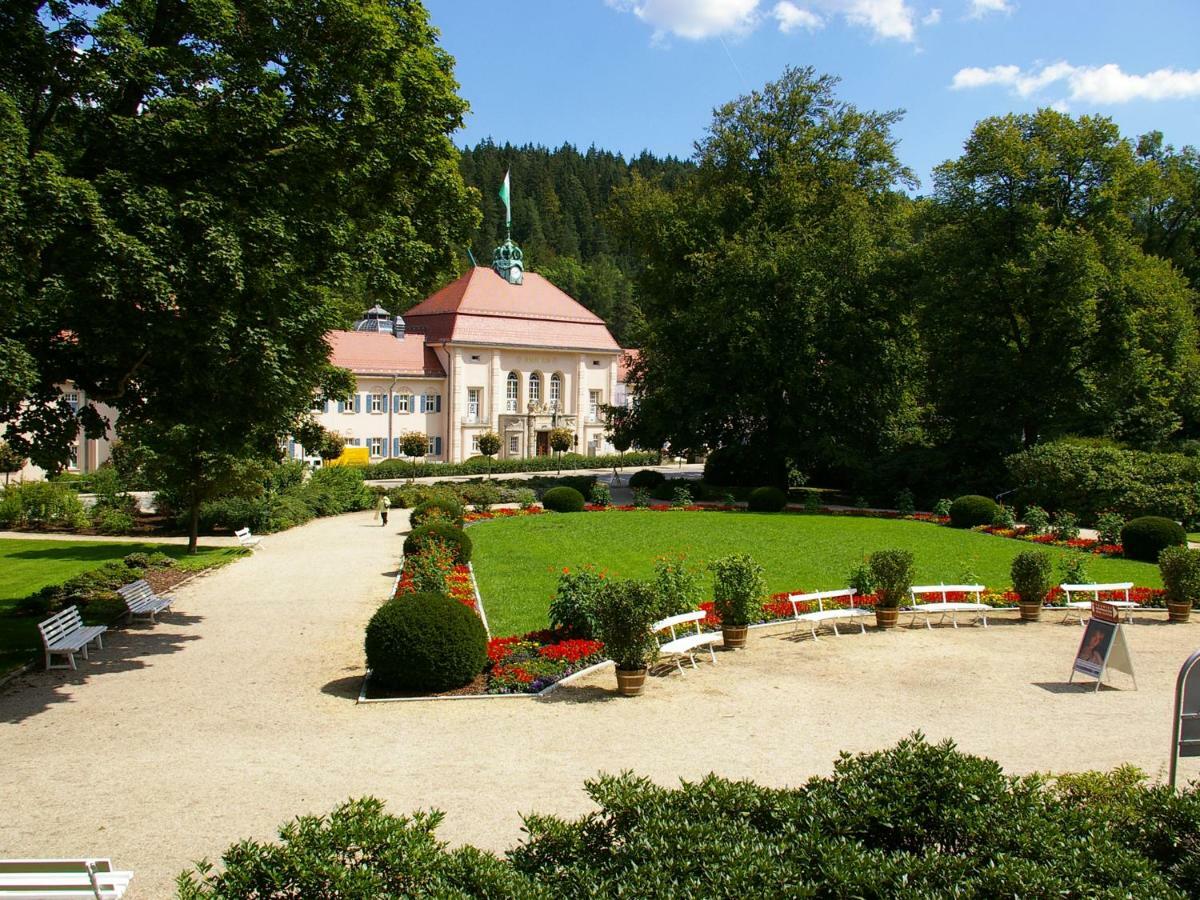 Pension Weisse Rose, Parkplatz, Fruehstueck, Wlan, Zentral Bad Elster Zewnętrze zdjęcie